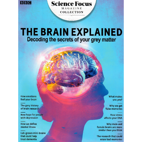 The Brain Explained Decoding the secret of your grey matter