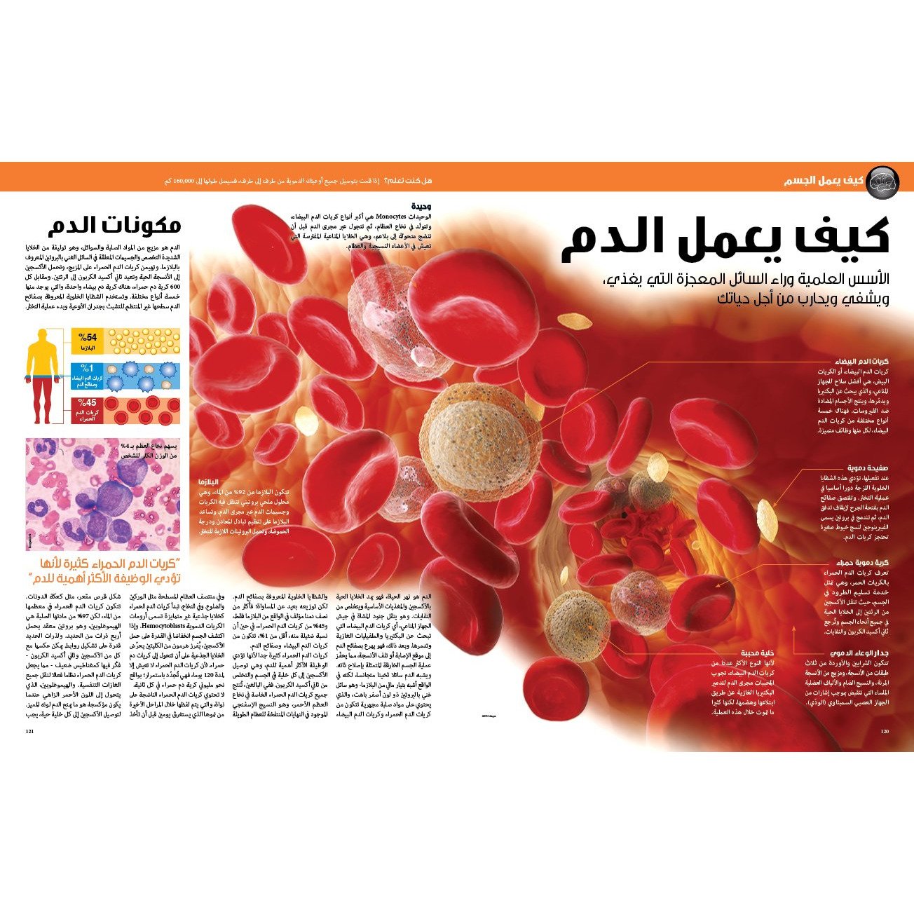 (سلسلة العقول الذكية   كتاب كيف تعمل الأشياء   (جسم الإنسان