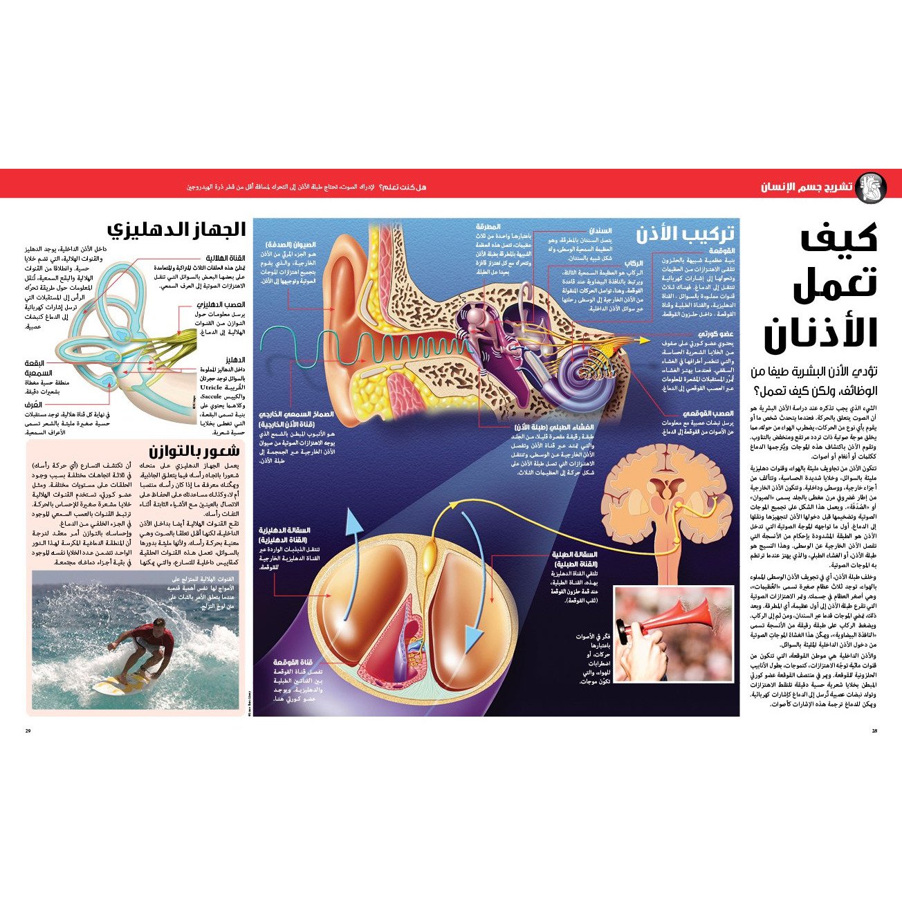 (سلسلة العقول الذكية   كتاب كيف تعمل الأشياء   (جسم الإنسان