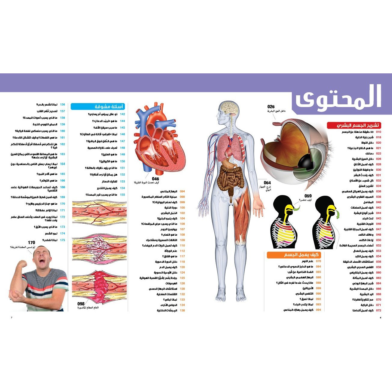 (سلسلة العقول الذكية   كتاب كيف تعمل الأشياء   (جسم الإنسان