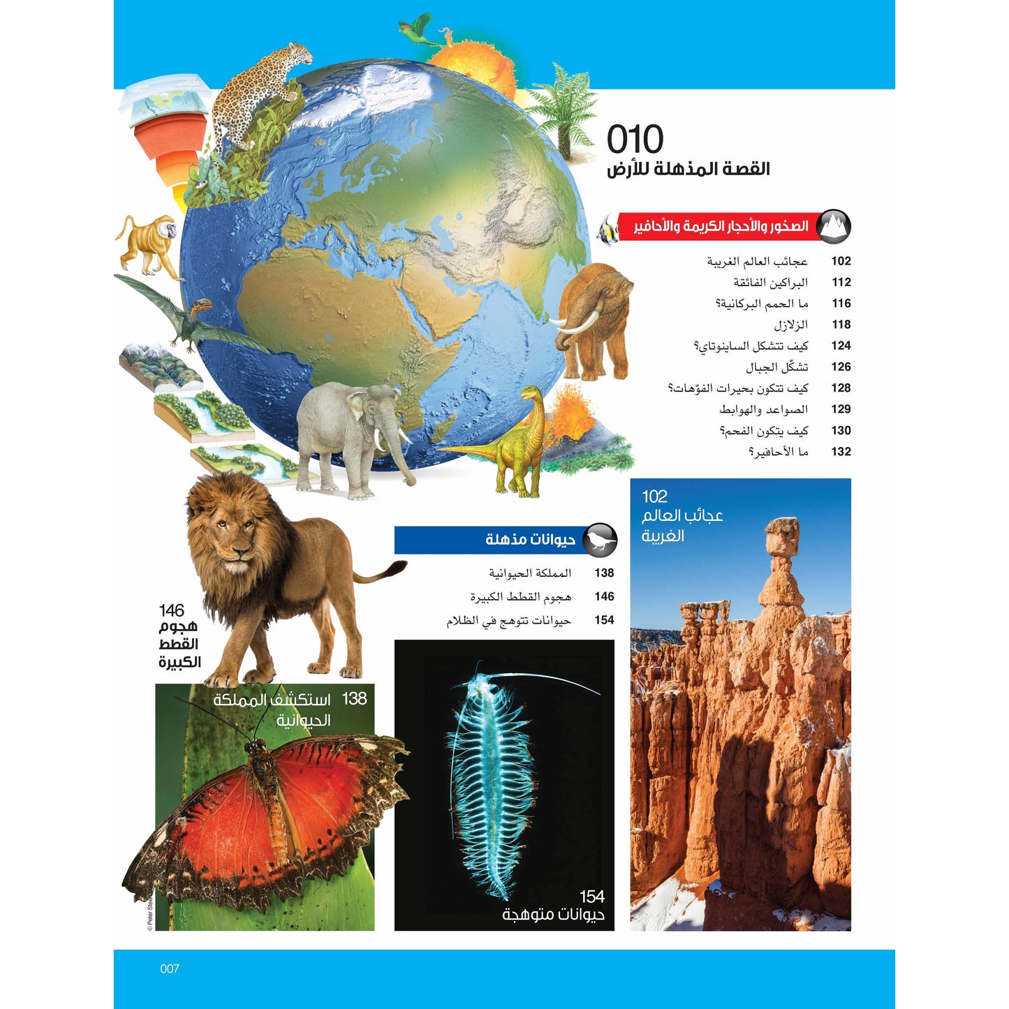 سلسلة العقول الذكية   كتاب كيف تعمل الأشياء   الأرض المذهلة