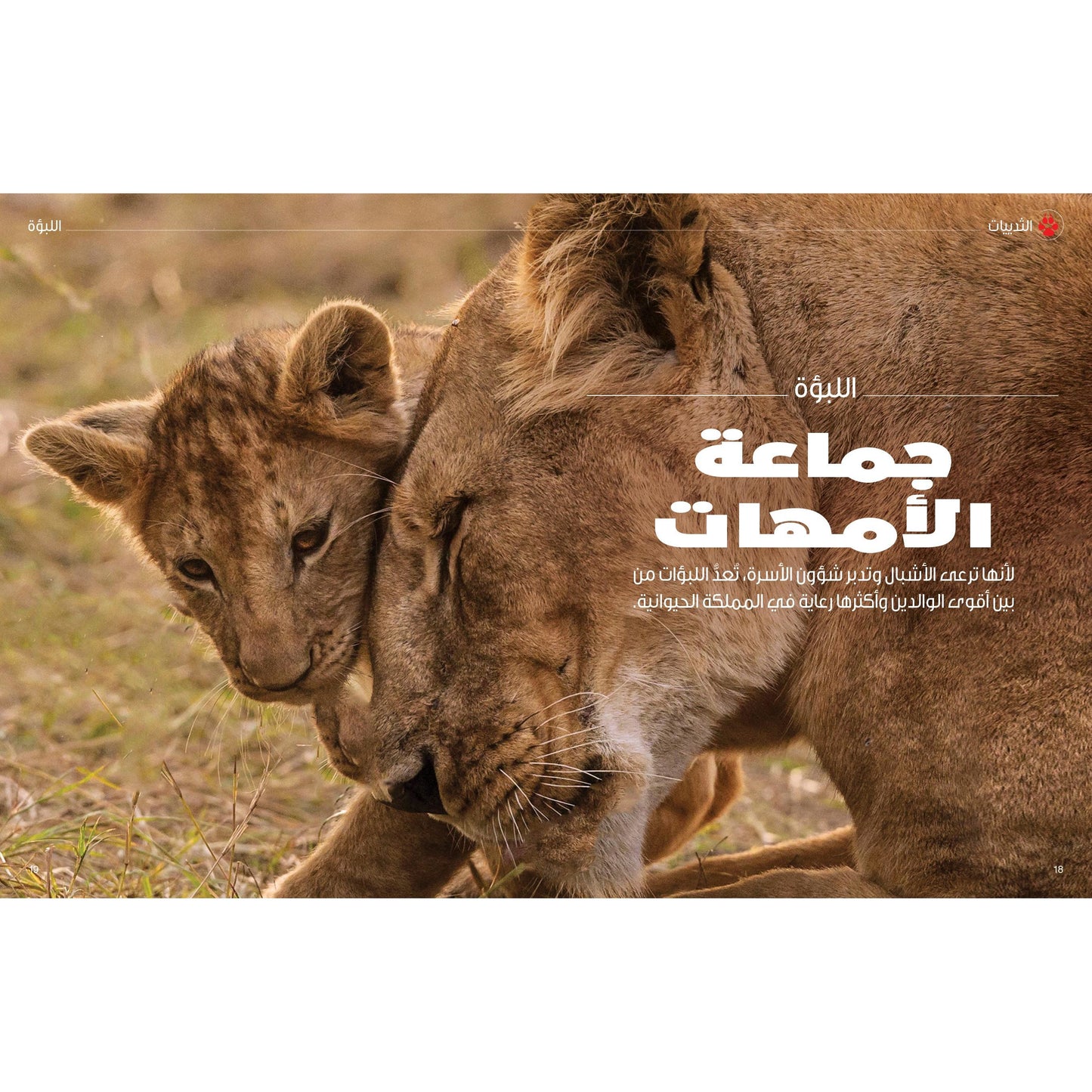 (سلسلة العقول الذكية   كتاب كيف تعمل الأشياء  ( عالم الحيوان