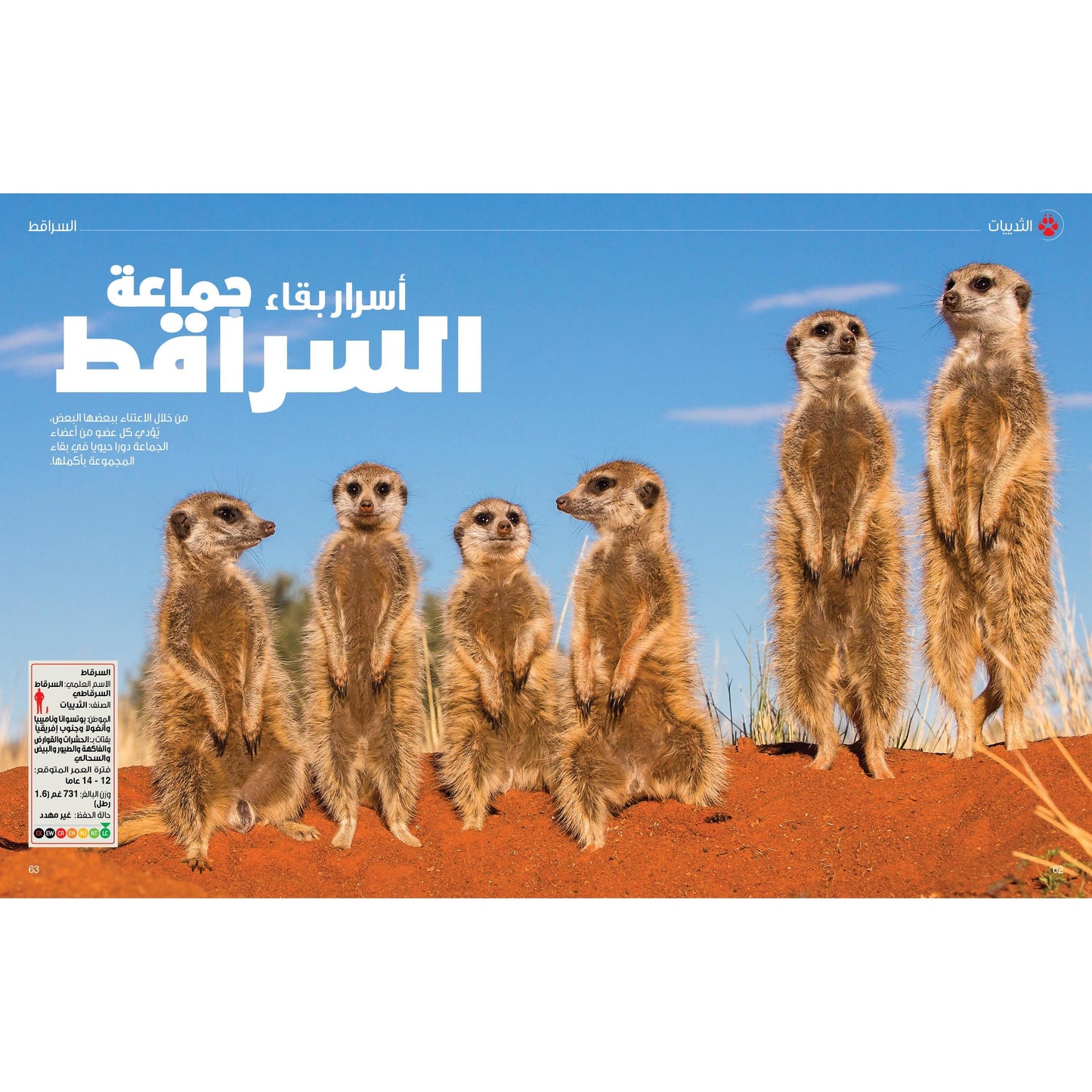 (سلسلة العقول الذكية   كتاب كيف تعمل الأشياء  ( عالم الحيوان