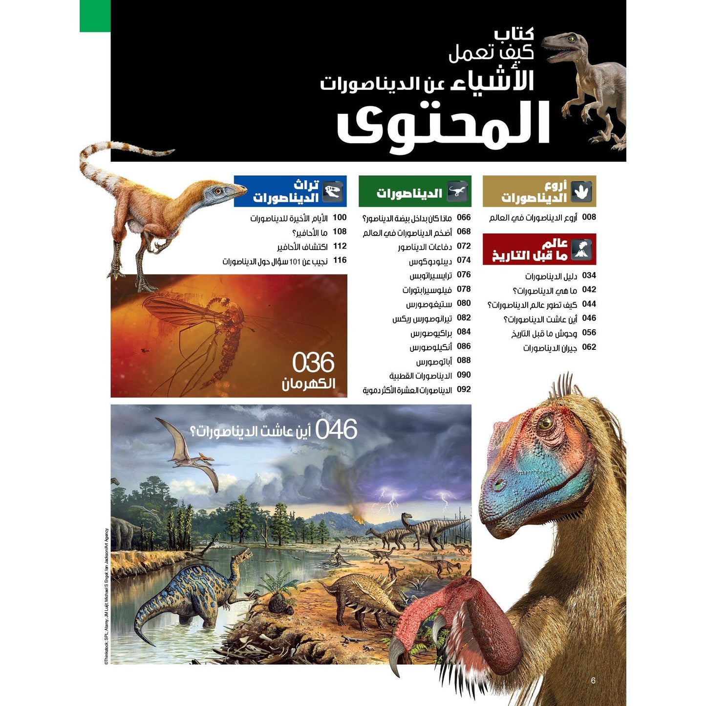 سلسلة العقول الذكية   كتاب كيف تعمل الأشياء عن الديناصورات