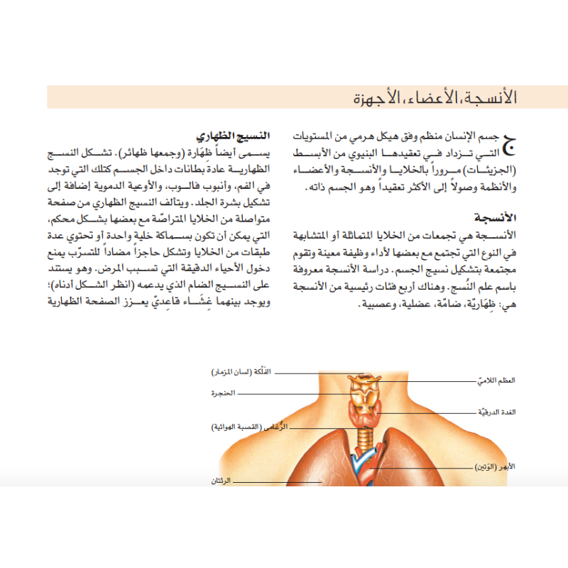 دليل جسم الإنسان