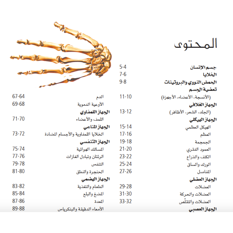 دليل جسم الإنسان